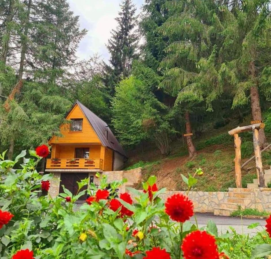 Etno Selo Bistrovo Daire Vitez Dış mekan fotoğraf