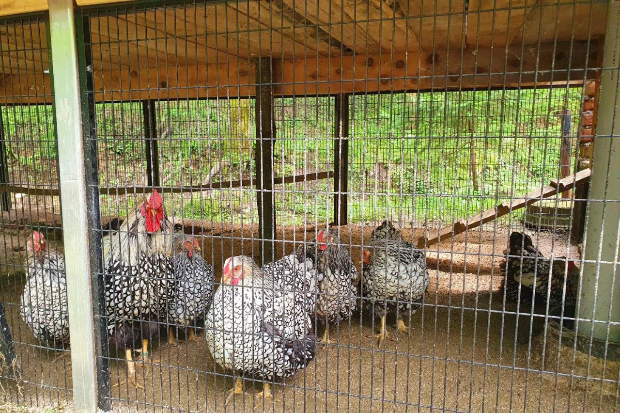 Etno Selo Bistrovo Daire Vitez Dış mekan fotoğraf